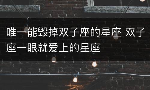 唯一能毁掉双子座的星座 双子座一眼就爱上的星座