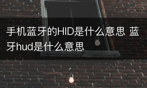 手机蓝牙的HID是什么意思 蓝牙hud是什么意思