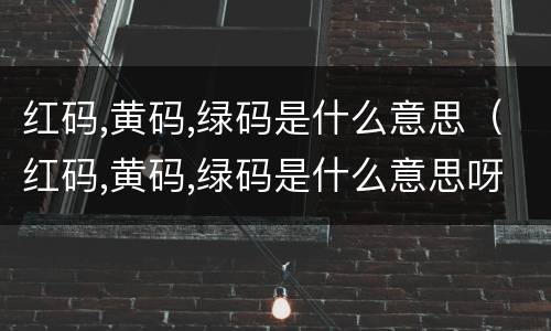 红码,黄码,绿码是什么意思（红码,黄码,绿码是什么意思呀）