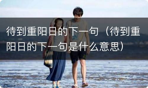 待到重阳日的下一句（待到重阳日的下一句是什么意思）