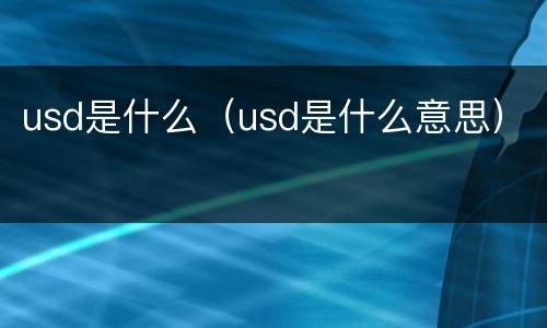 usd是什么（usd是什么意思）