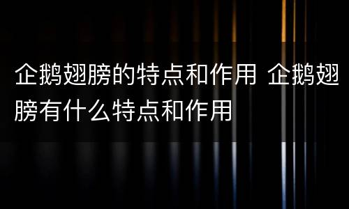 企鹅翅膀的特点和作用 企鹅翅膀有什么特点和作用