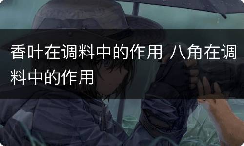 香叶在调料中的作用 八角在调料中的作用