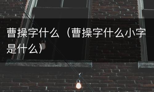 曹操字什么（曹操字什么小字是什么）