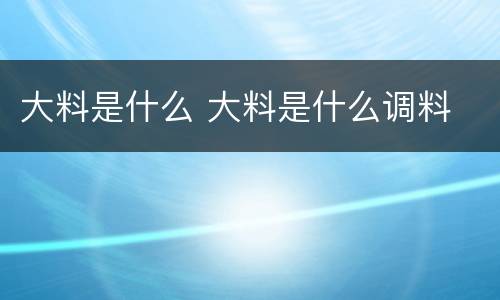 大料是什么 大料是什么调料
