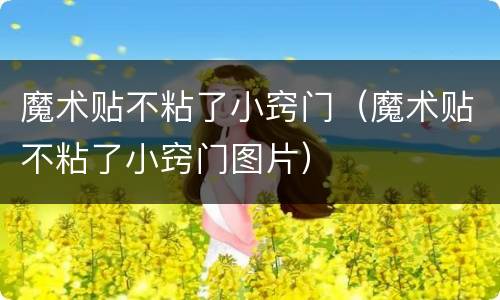 魔术贴不粘了小窍门（魔术贴不粘了小窍门图片）
