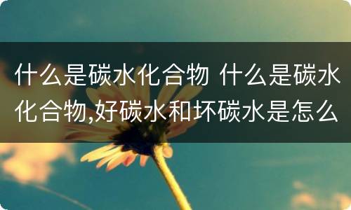 什么是碳水化合物 什么是碳水化合物,好碳水和坏碳水是怎么区分的?
