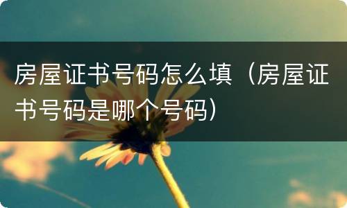 房屋证书号码怎么填（房屋证书号码是哪个号码）