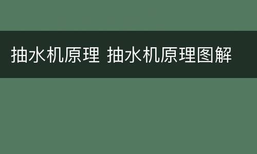 抽水机原理 抽水机原理图解