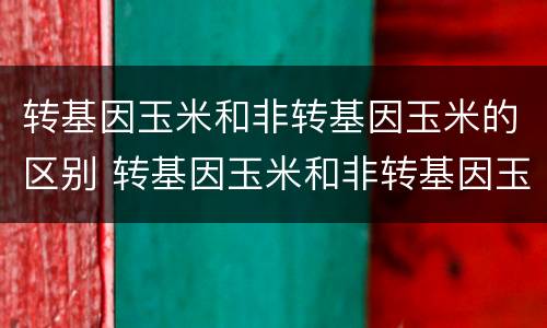 转基因玉米和非转基因玉米的区别 转基因玉米和非转基因玉米的区别的特征