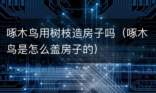 啄木鸟用树枝造房子吗（啄木鸟是怎么盖房子的）