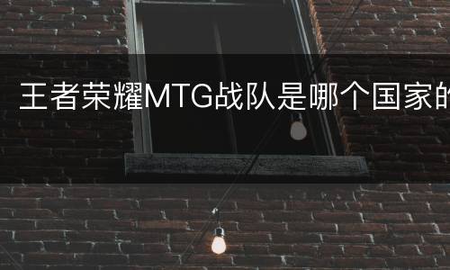 王者荣耀MTG战队是哪个国家的