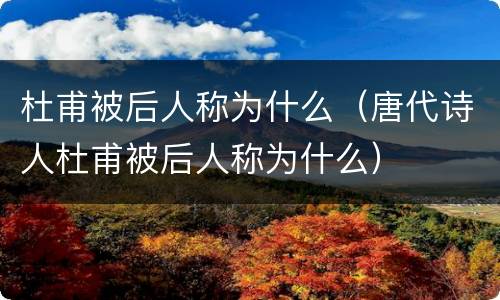 杜甫被后人称为什么（唐代诗人杜甫被后人称为什么）