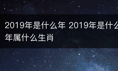 2019年是什么年 2019年是什么年属什么生肖