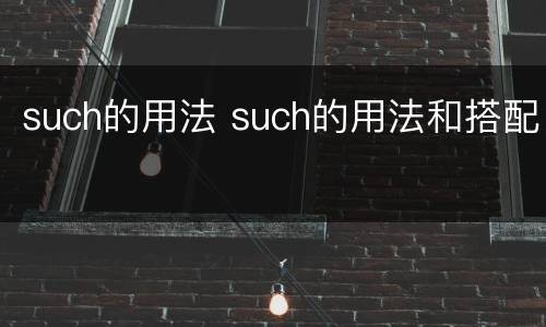 such的用法 such的用法和搭配