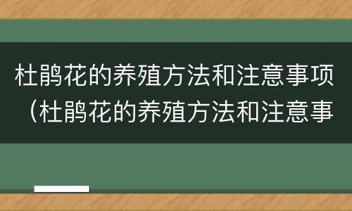 杜鹃花的养殖方法和注意事项（杜鹃花的养殖方法和注意事项 盆栽小叶杜鹃）