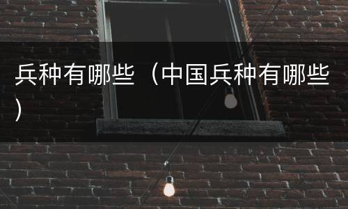 兵种有哪些（中国兵种有哪些）