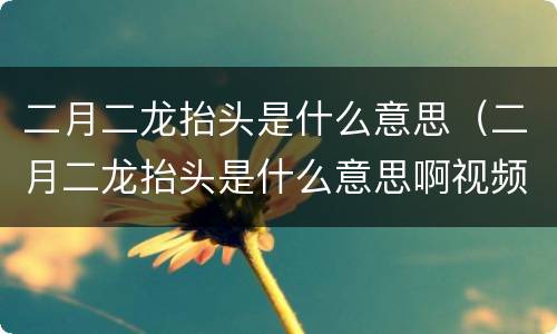二月二龙抬头是什么意思（二月二龙抬头是什么意思啊视频）