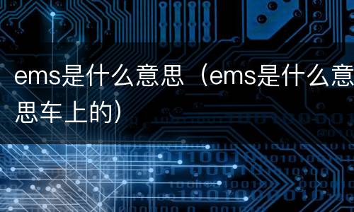 ems是什么意思（ems是什么意思车上的）