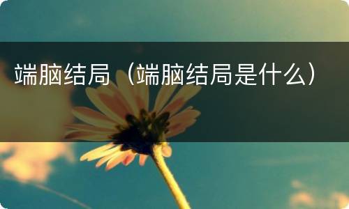端脑结局（端脑结局是什么）