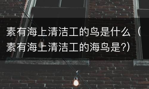 素有海上清洁工的鸟是什么（素有海上清洁工的海鸟是?）