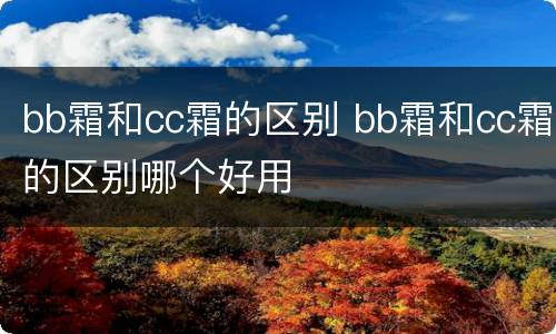 bb霜和cc霜的区别 bb霜和cc霜的区别哪个好用