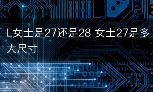 L女士是27还是28 女士27是多大尺寸