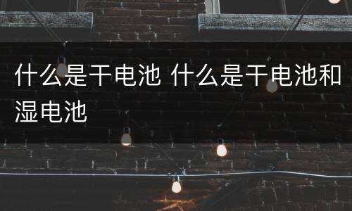 什么是干电池 什么是干电池和湿电池