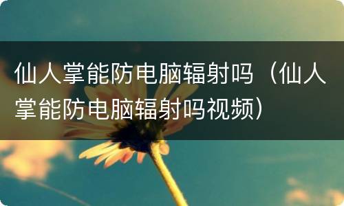 仙人掌能防电脑辐射吗（仙人掌能防电脑辐射吗视频）