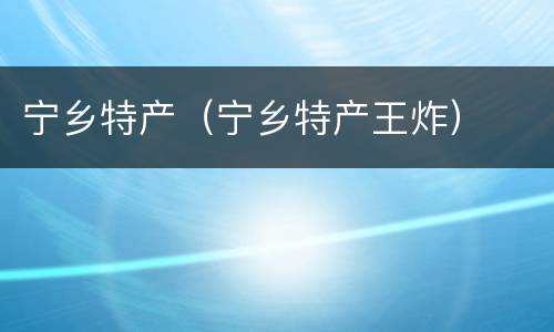 宁乡特产（宁乡特产王炸）