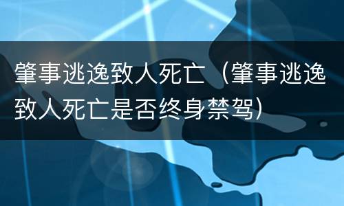 肇事逃逸致人死亡（肇事逃逸致人死亡是否终身禁驾）