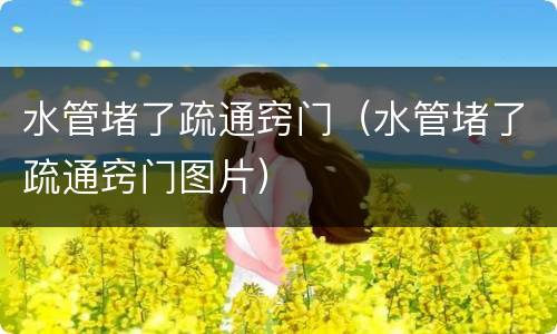 水管堵了疏通窍门（水管堵了疏通窍门图片）