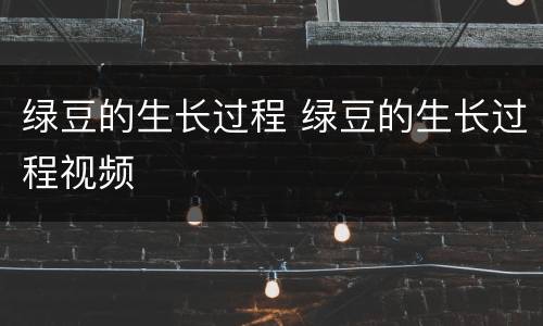 绿豆的生长过程 绿豆的生长过程视频