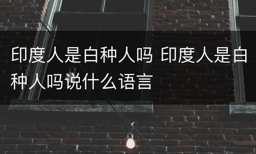 印度人是白种人吗 印度人是白种人吗说什么语言