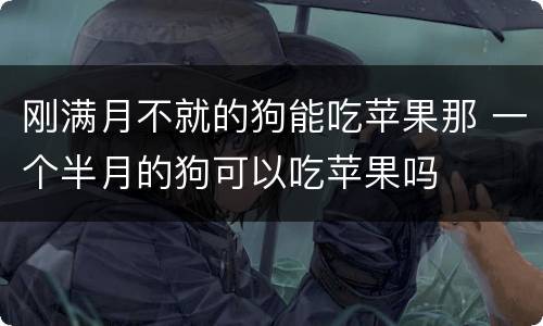 刚满月不就的狗能吃苹果那 一个半月的狗可以吃苹果吗