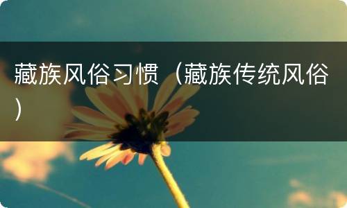 藏族风俗习惯（藏族传统风俗）
