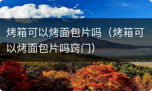 烤箱可以烤面包片吗（烤箱可以烤面包片吗窍门）