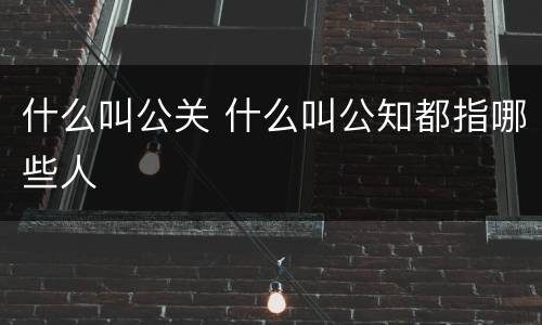 什么叫公关 什么叫公知都指哪些人