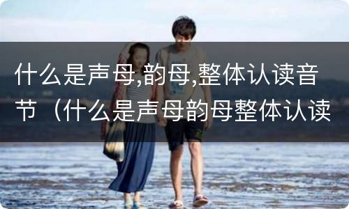 什么是声母,韵母,整体认读音节（什么是声母韵母整体认读音节）
