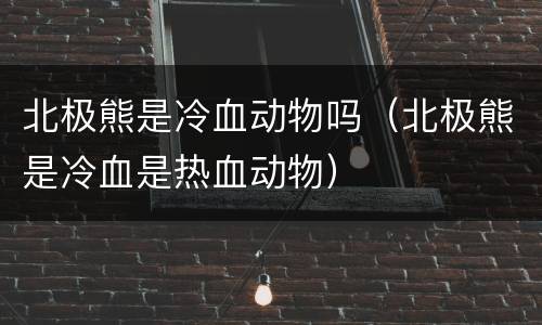 北极熊是冷血动物吗（北极熊是冷血是热血动物）