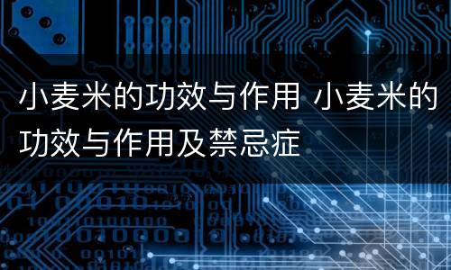 小麦米的功效与作用 小麦米的功效与作用及禁忌症