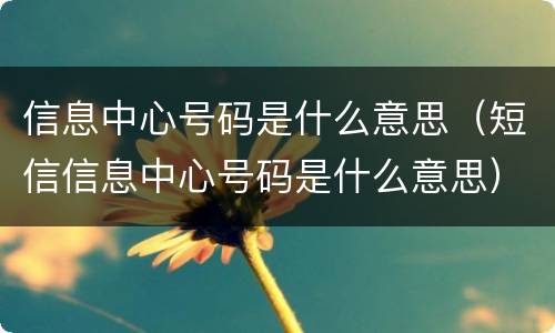 信息中心号码是什么意思（短信信息中心号码是什么意思）