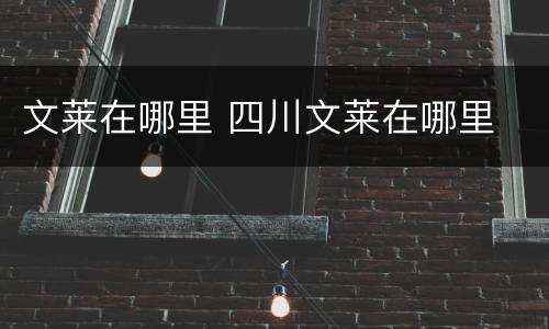 文莱在哪里 四川文莱在哪里