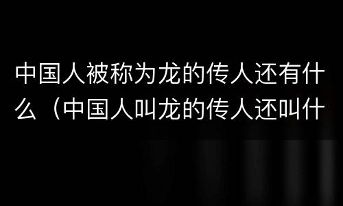 中国人被称为龙的传人还有什么（中国人叫龙的传人还叫什么）