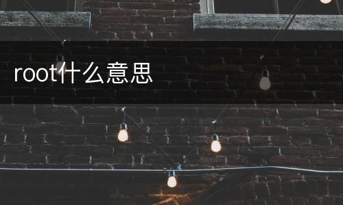 root什么意思