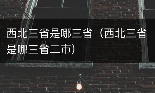西北三省是哪三省（西北三省是哪三省二市）