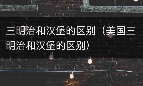 三明治和汉堡的区别（美国三明治和汉堡的区别）