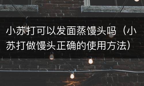 小苏打可以发面蒸馒头吗（小苏打做馒头正确的使用方法）