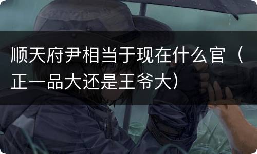 顺天府尹相当于现在什么官（正一品大还是王爷大）