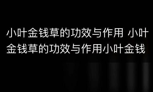 小叶金钱草的功效与作用 小叶金钱草的功效与作用小叶金钱草的归经